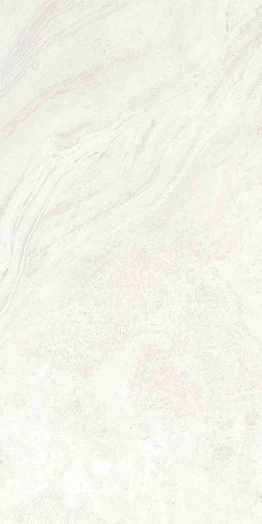 Petra Viva Bone Matte 24 x 48